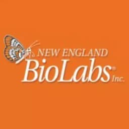 New England Biolabs